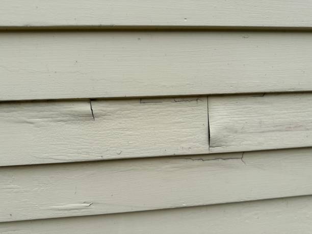 Affordable siding repair and maintenance services in Spring Valley Lake, CA